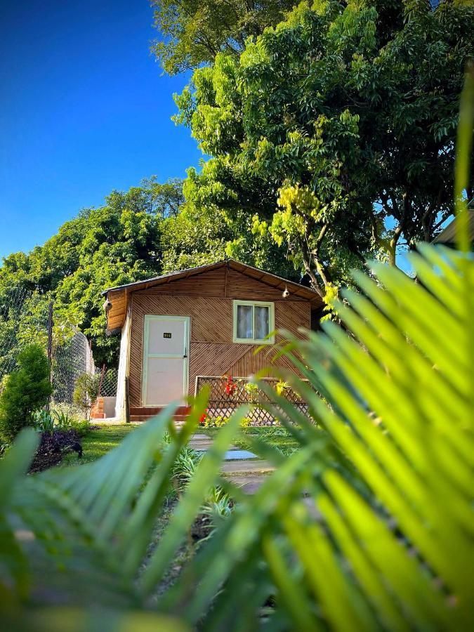 Hotel O Royal Tree Cafe And Resort Dehradun Dış mekan fotoğraf