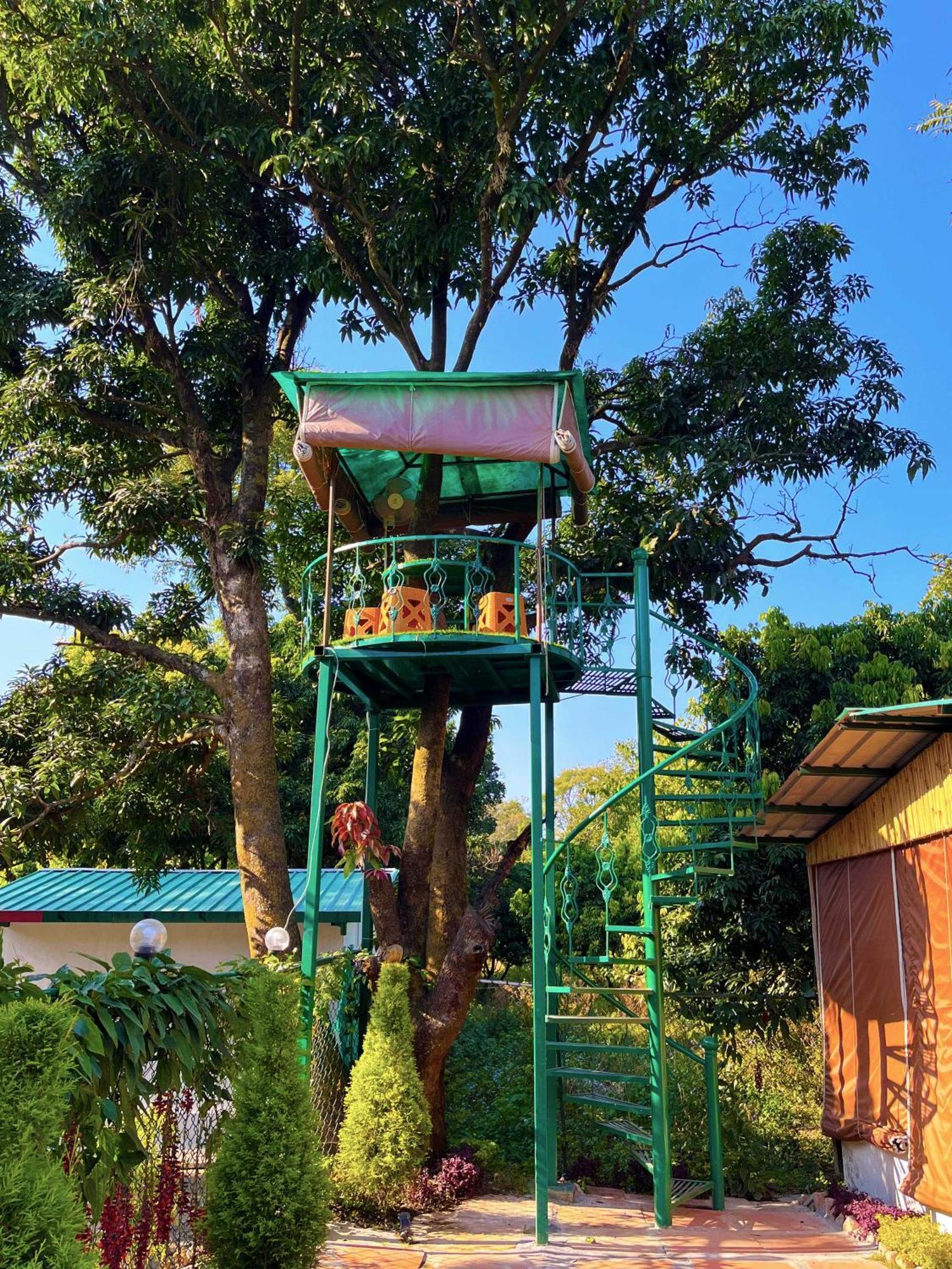 Hotel O Royal Tree Cafe And Resort Dehradun Dış mekan fotoğraf